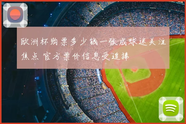 欧洲杯购票多少钱一张成球迷关注焦点 官方票价信息受追捧