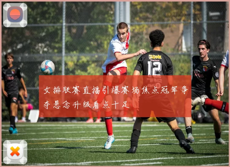 女排联赛直播引爆赛场焦点冠军争夺悬念升级看点十足