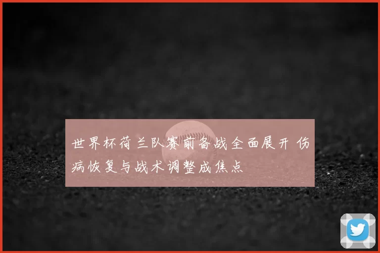 世界杯荷兰队赛前备战全面展开 伤病恢复与战术调整成焦点