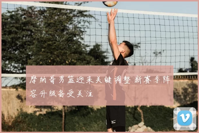 摩纳哥男篮迎来关键调整 新赛季阵容升级备受关注